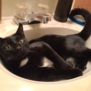 Fundraising Page: Rich Napolitano